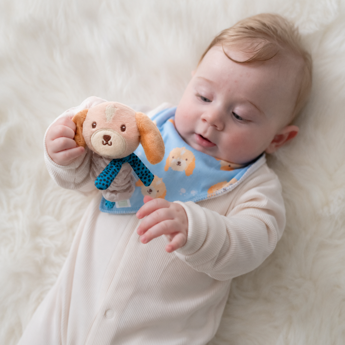 Ziggle Baby plišasta zapestna ropotuljica - kuža
