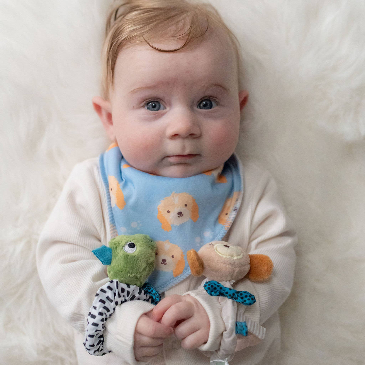 Ziggle Baby plišasta zapestna ropotuljica - kuža