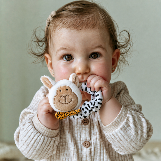 Ziggle Baby plišasta zapestna ropotuljica - ovčka